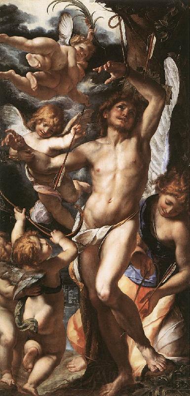 PROCACCINI, Giulio Cesare St Sebastian Tended by Angels af Norge oil painting art
